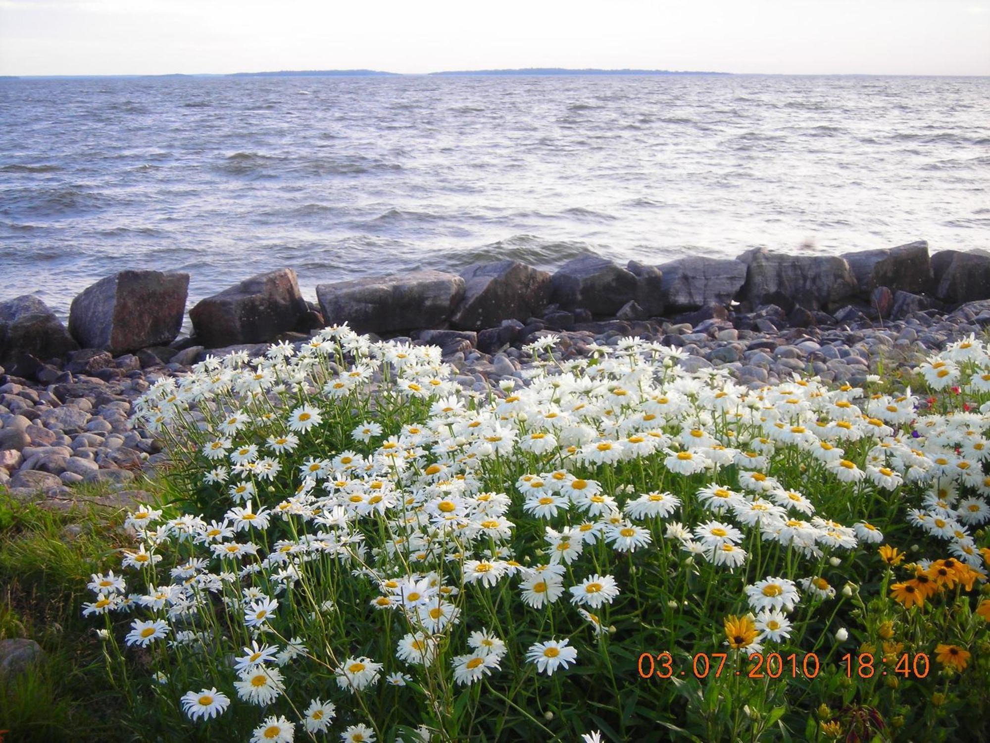 Lakeshore North Bay